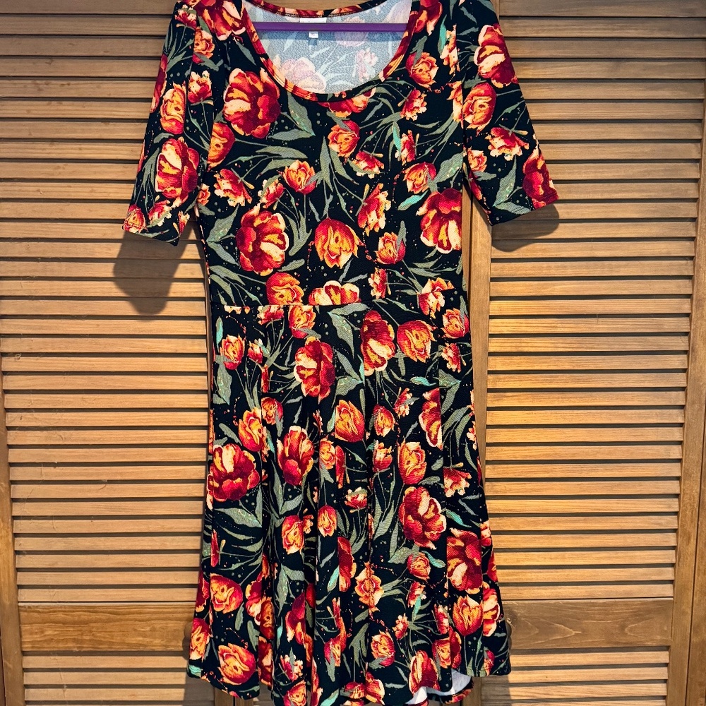 LuLaRoe Nicole Dress